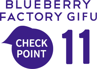 BLUEBERRY FACTORY GIFU CHECK POINT 13